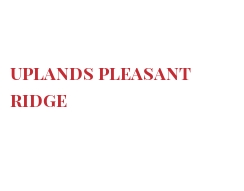 Fromages du monde - Uplands Pleasant Ridge